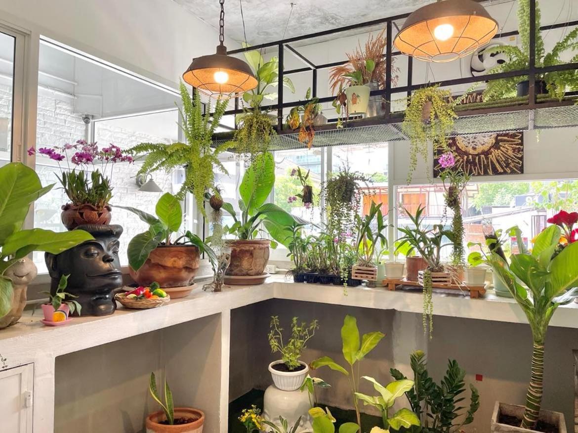 Cafe Home Chiang Mai Exterior foto